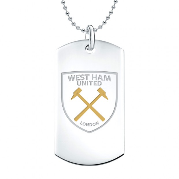 COLOUR CREST DOG TAG AND CHAIN