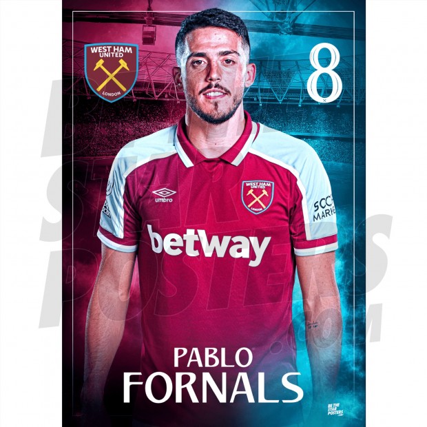 A3 P.FORNALS POSTER
