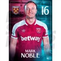 A3 NOBLE POSTER